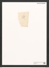 Pleurosigma bistriatum Schum (de-Toni-Nr.: Genus 13, Species 1103) Zeichnungen Sammlung Grunow (NHMW-BOT-W0369177)